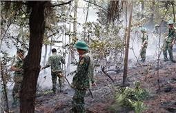 Bộ đội giúp dân chữa cháy rừng ở Bắc Giang